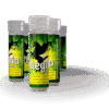 Alegria Citrus | voor 19:30 besteld, morgen in huis